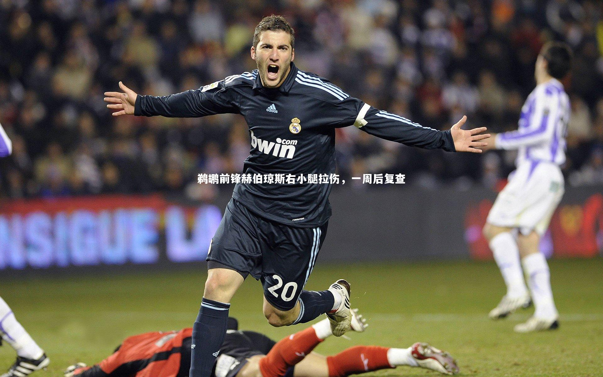 鹈鹕前锋赫伯琼斯右小腿拉伤，一周后复查